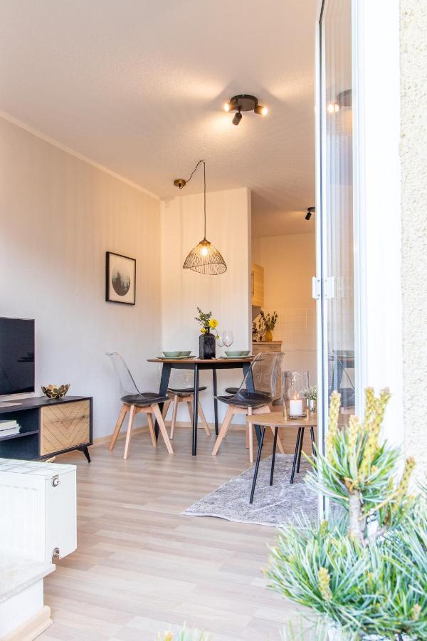 Apartment Bergwiese I Balkon I Aufzug I Stellplatz Шварценберг Экстерьер фото