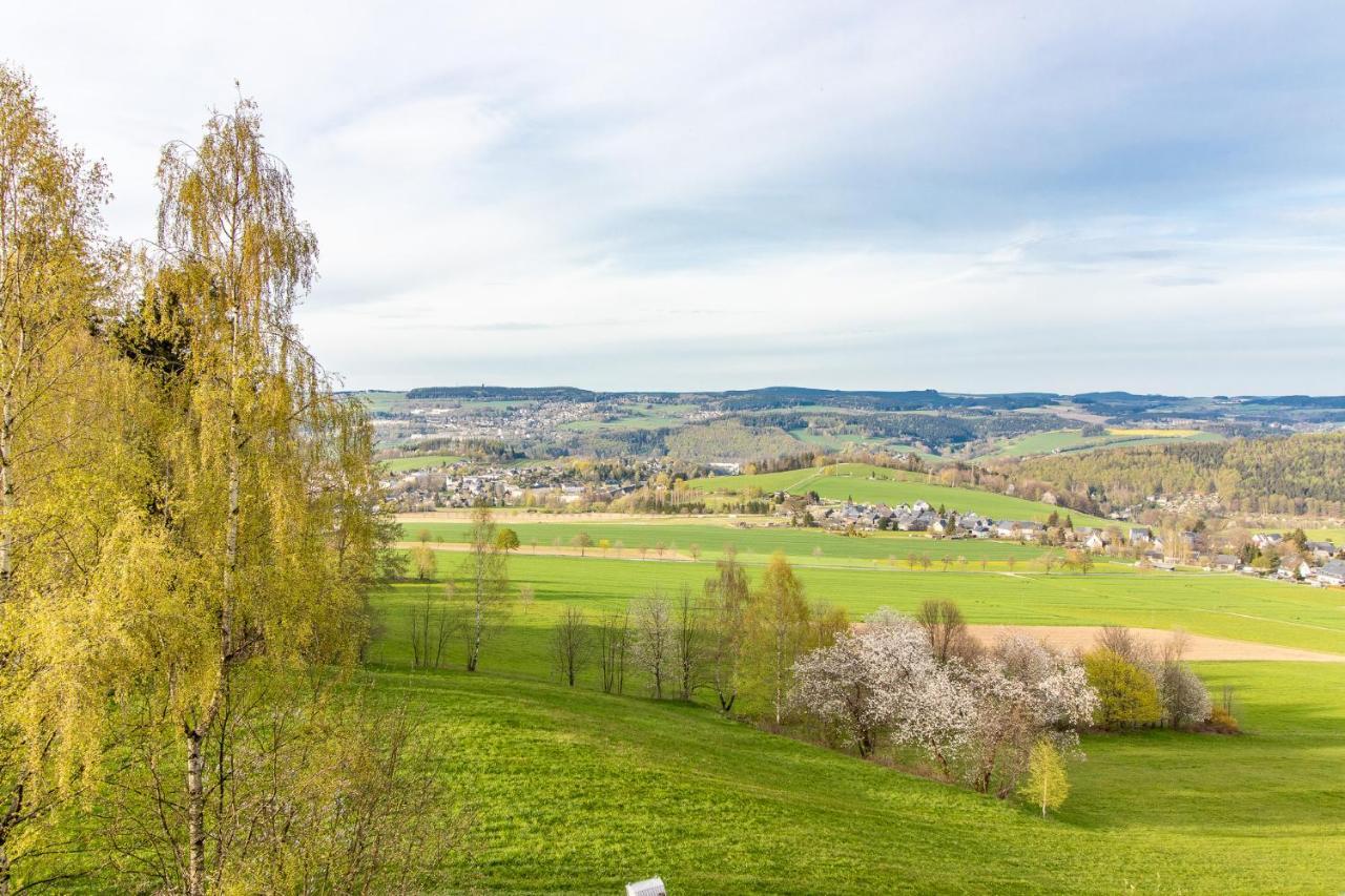 Apartment Bergwiese I Balkon I Aufzug I Stellplatz Шварценберг Экстерьер фото