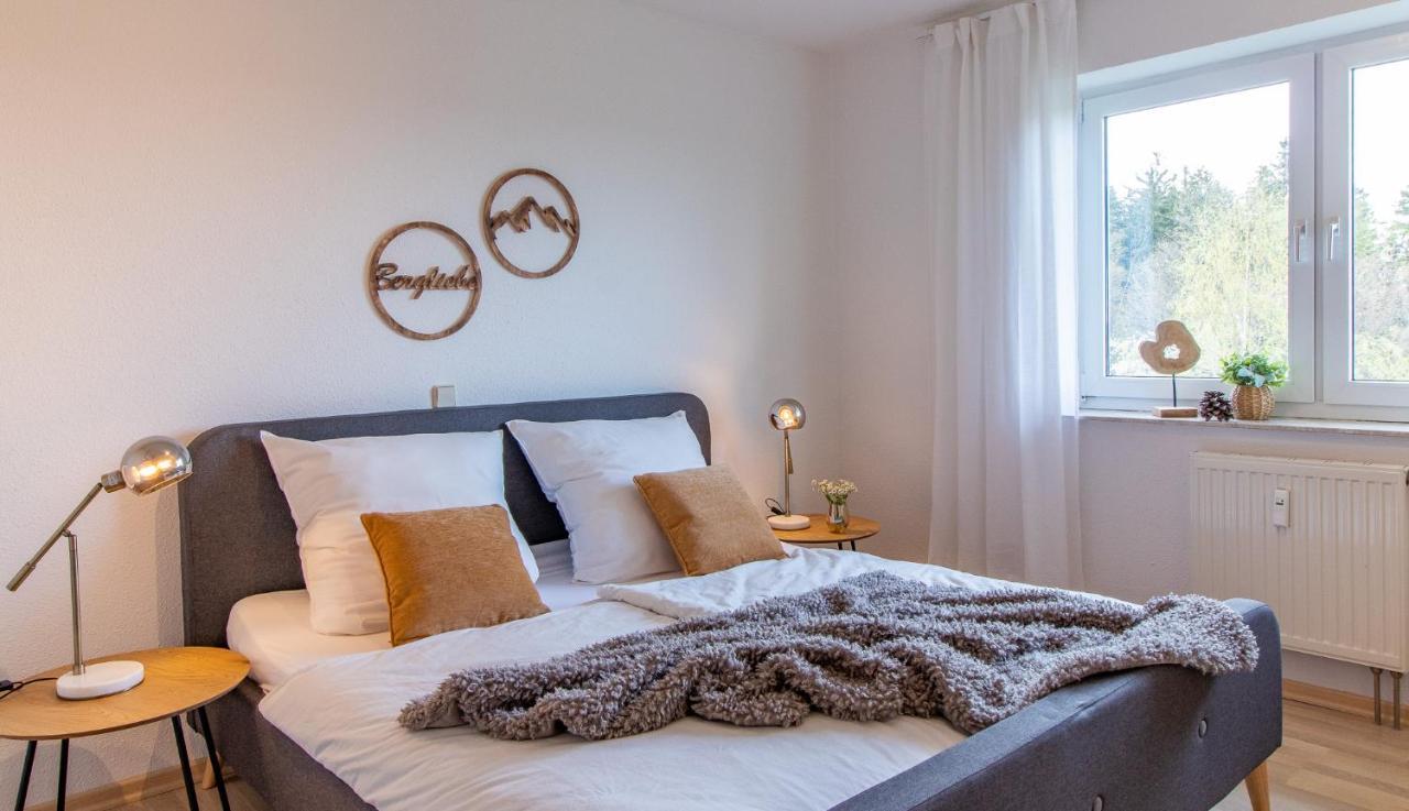 Apartment Bergwiese I Balkon I Aufzug I Stellplatz Шварценберг Экстерьер фото