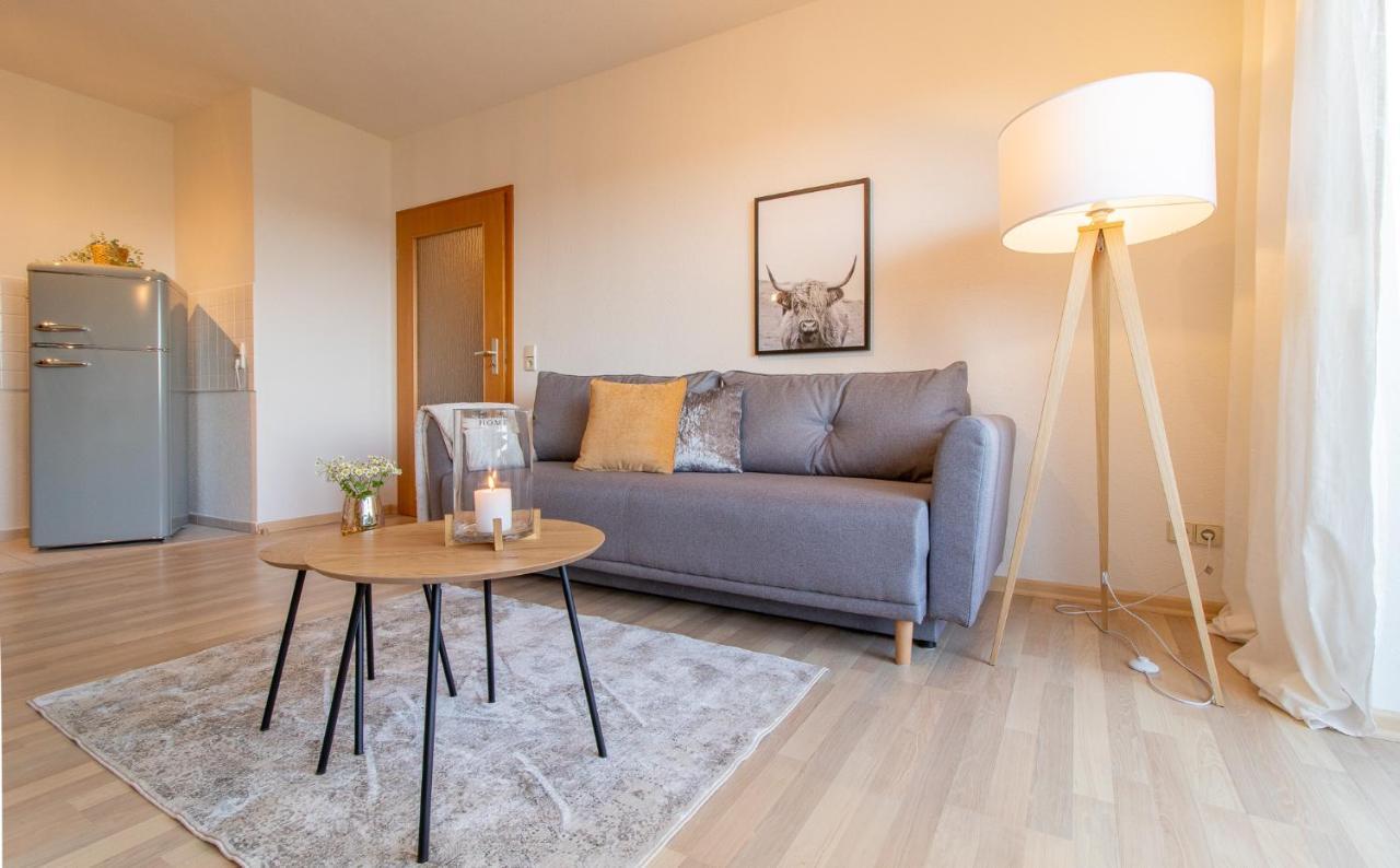 Apartment Bergwiese I Balkon I Aufzug I Stellplatz Шварценберг Экстерьер фото